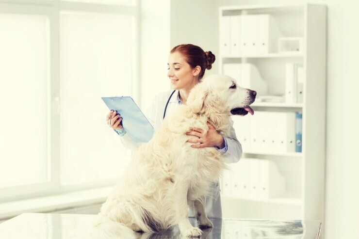 Evcil Dostunuz İçin Sağlık Kontrolleri