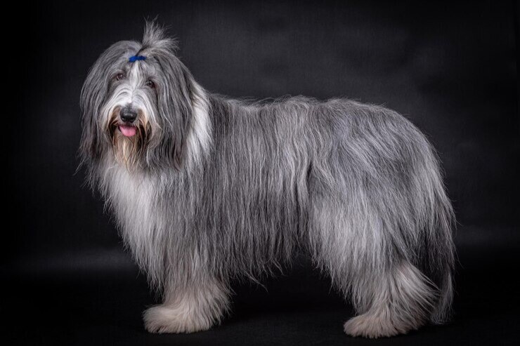 Mevsim Geçişleri ve Uçuşan Tüyler