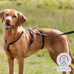 Trixie Kolay Kontrol Köpek Tasması - 3